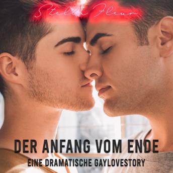 [German] - Der Anfang vom Ende: Eine dramatische Gaylovestory