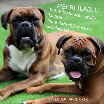 [German] - Kurze Schnauze - große Klappe: eine tierisch komische Geschichte