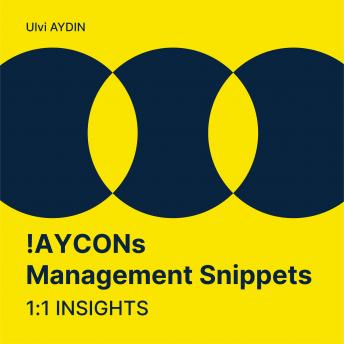 Download !AYCONs Management Snippets: 1:1 Insights by Ulvi I. Aydin