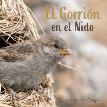 El Gorrión en el Nido