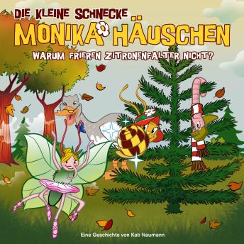 Listen to New Full Audiobooks in Kids, Action & Adventure