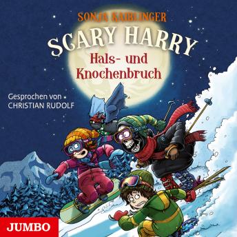 [German] - Scary Harry. Hals- und Knochenbruch [Band 6]