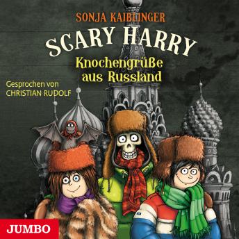 [German] - Scary Harry. Knochengrüße aus Russland [Band 7]