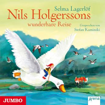 [German] - Nils Holgerssons wunderbare Reise
