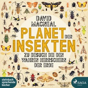 [German] - Planet der Insekten: Zu Besuch bei den wahren Herrschern der Erde
