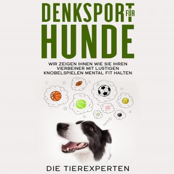 [German] - Denksport für Hunde: Wir zeigen Ihnen, wie Sie Ihren Vierbeiner mit lustigen Knobelspielen mental fit halten