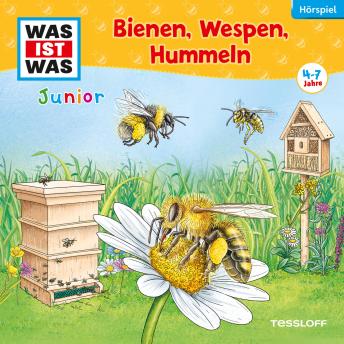 [German] - 30: Bienen, Wespen, Hummeln