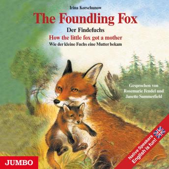 [German] - The Foundling Fox: How the little fox got a mother