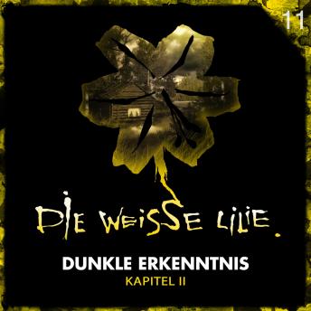 11: Dunkle Erkenntnis - Kapitel II, Audio book by Benjamin Oechsle