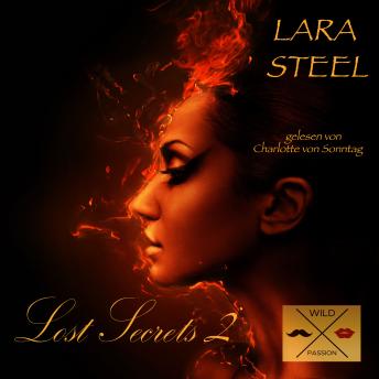 Lost Secrets, 2 (ungekürzt), Audio book by Lara Steel
