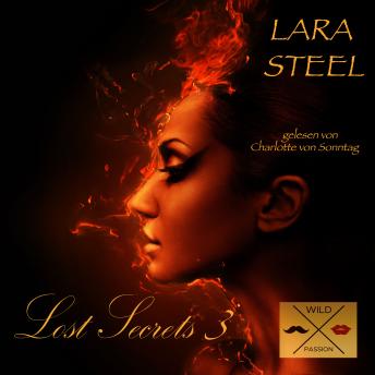 Lost Secrets, 3 (ungekürzt), Audio book by Lara Steel