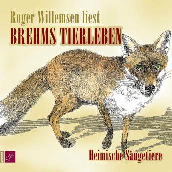 [German] - Brehms Tierleben - Heimische Säugetiere