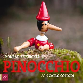 [German] - Pinocchio (German Edition)