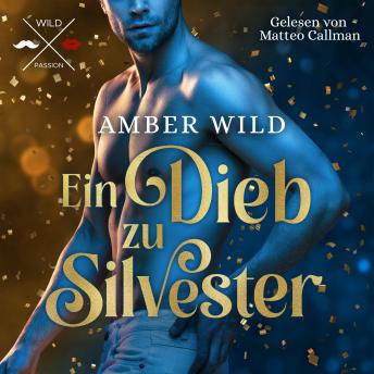 [German] - Ein Dieb zu Silvester - Humorvolle Gay Romance zu Weihnachten (ungekürzt)