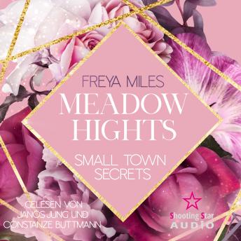 [German] - Meadow Hights: Small Town Secrets - New York Gentlemen, Band 5 (ungekürzt)