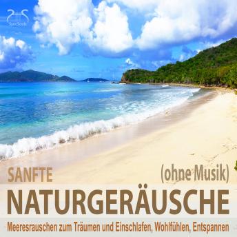 [German] - Sanfte Naturgeräusche (ohne Musik) - Meeresrauschen zum Träumen und Einschlafen, Wohlfühlen, Entspannen - Wellenrauschen pur, sanfte Naturgeräusche pur