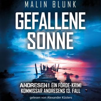 [German] - Gefallene Sonne - ANDRESEN!, Band 13 (ungekürzt)