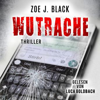 [German] - Wutrache - Künzel & Lobenstein-Thriller, Band 9 (ungekürzt)
