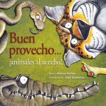 [Spanish] - Buen provecho... ¡animales al acecho!