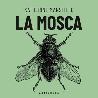[Spanish] - La mosca