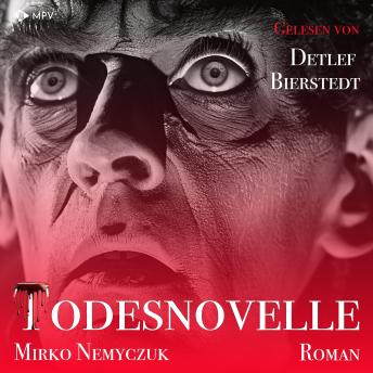 [German] - Todesnovelle: Ein kurzer Roman um Leben und Tod