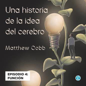 [Spanish] - Función - Una historia de la idea del cerebro, Episodio 4