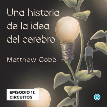 [Spanish] - Circuitos - Una historia de la idea del cerebro, Episodio 11