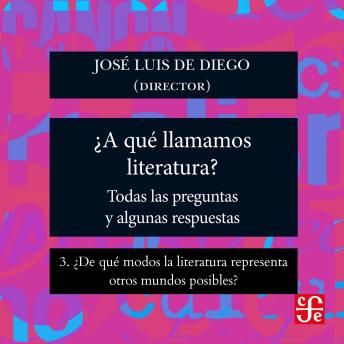 [Spanish] - ¿De qué modos la literatura representa otros mundos posibles? - ¿Para qué sirve la literatura? - Todas las preguntas y algunas respuestas, Parte 3
