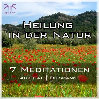 [German] - Heilung in der Natur - 7 einzigartige geführte Meditationen zum Auftanken im Alltag - mit Naturklängen und Entspannungsmusik - SyncSouls Kurz-Meditationen Vol. 1
