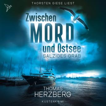 [German] - Salziges Grab - Zwischen Mord und Ostsee, Band 9 (Ungekürzt)