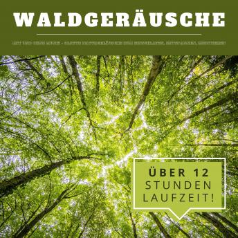 [German] - Waldgeräusche mit und ohne Musik (XXL Bundle): Sanfte Naturgeräusche zum Einschlafen, Entspannen, Meditieren
