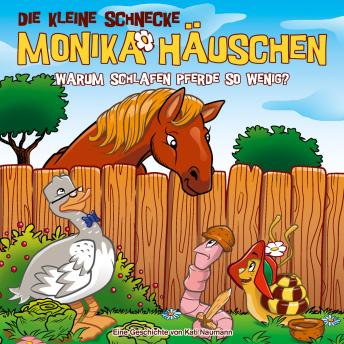 [German] - 63: Warum schlafen Pferde so wenig?