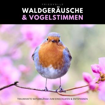 [German] - Friedvolle Waldgeräusche & Vogelstimmen: Traumhafte Naturklänge zum Einschlafen und Entspannen