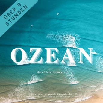 Get Lost In A Full Audiobook That Is Simply Ground-Breaking.