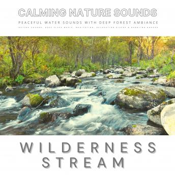 Peaceful Water Sounds With Deep Forest Ambiance: Wilderness Stream & Babbling Brook: The Sound Healing Collection: Calming Nature Sounds, Deep Sleep Sounds. Meditation Sounds, Relaxation Sounds & Babbling Brooks