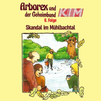Download 06: Skandal im Mühlbachtal by Erika Immen, Fritz Hellmann