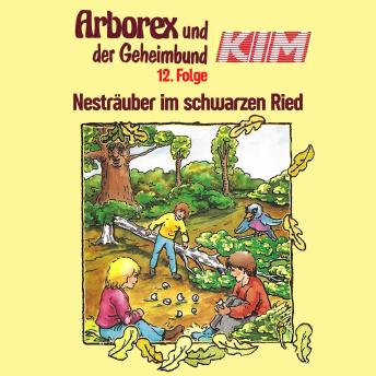 Download 12: Nesträuber im schwarzen Ried by Erika Immen, Fritz Hellmann