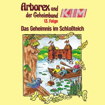 Download 13: Das Geheimnis im Schloßteich by Erika Immen, Fritz Hellmann