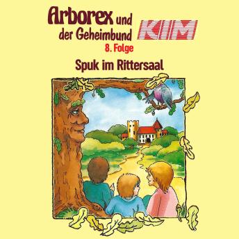 Download 08: Spuk im Rittersaal by Erika Immen, Fritz Hellmann