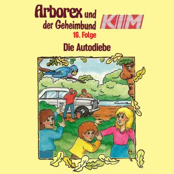 16: Die Autodiebe, Audio book by Erika Immen, Fritz Hellmann