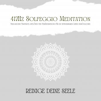 [German] - 417Hz Solfeggio Meditation: Vergangene Traumata auflösen und Veränderungen für ein wunderbares Leben ermöglichen: Reinige Deine Seele