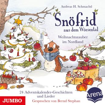 [German] - Snöfrid aus dem Wiesental. Weihnachtszauber im Nordland - 24 Adventskalender-Geschichten