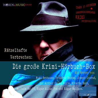 [German] - Rätselhafte Verbrechen: Die große Krimi-Hörbuch-Box