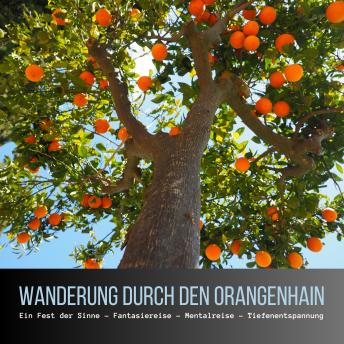 [German] - Wanderung durch den Orangenhain: Ein Fest der Sinne - Fantasiereise - Mentalreise - Geführte Tiefenentspannung - Gedankenreise