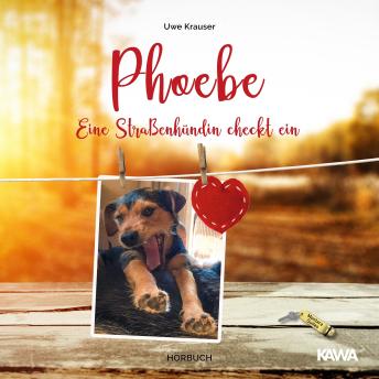 [German] - Phoebe: Eine Straßenhündin checkt ein