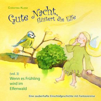 [German] - Gute Nacht, flüstert die Elfe, Vol. 3: Wenn es Frühling wird im Elfenwald - Eine zauberhafte Einschlafgeschichte mit Fantasiereise