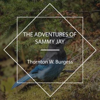 Download Adventures of Sammy Jay by Thornton W. Burgess