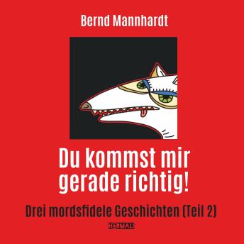 [German] - Du kommst mir gerade richtig!: Drei mordsfidele Geschichten (Teil 2)