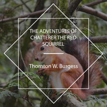 Download Adventures of Chatterer the Red Squirrel by Thornton W. Burgess