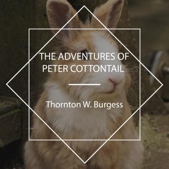 Download Adventures of Peter Cottontail by Thornton W. Burgess